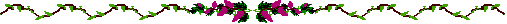 Divider 023