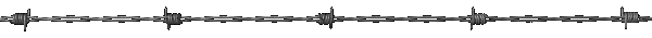 Divider 040