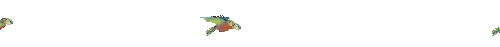 Divider 045