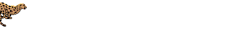 Divider 057