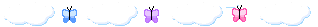 Divider 215